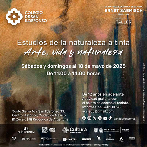 museo de san ildefonso
